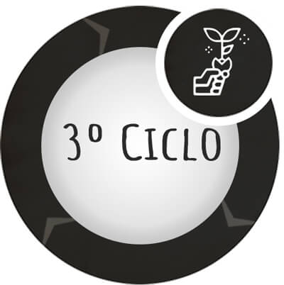 ciclo__3