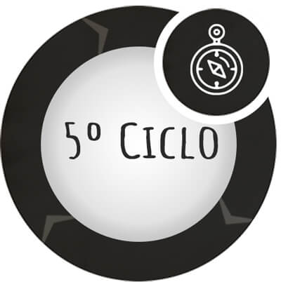 ciclo__5
