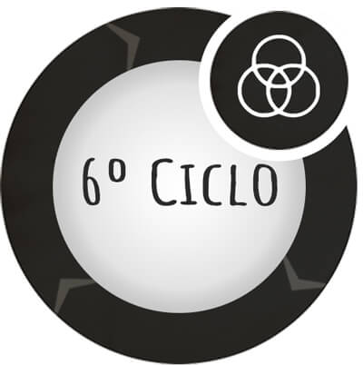 ciclo__6